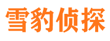 唐县市调查公司